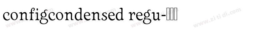 configcondensed regu字体转换